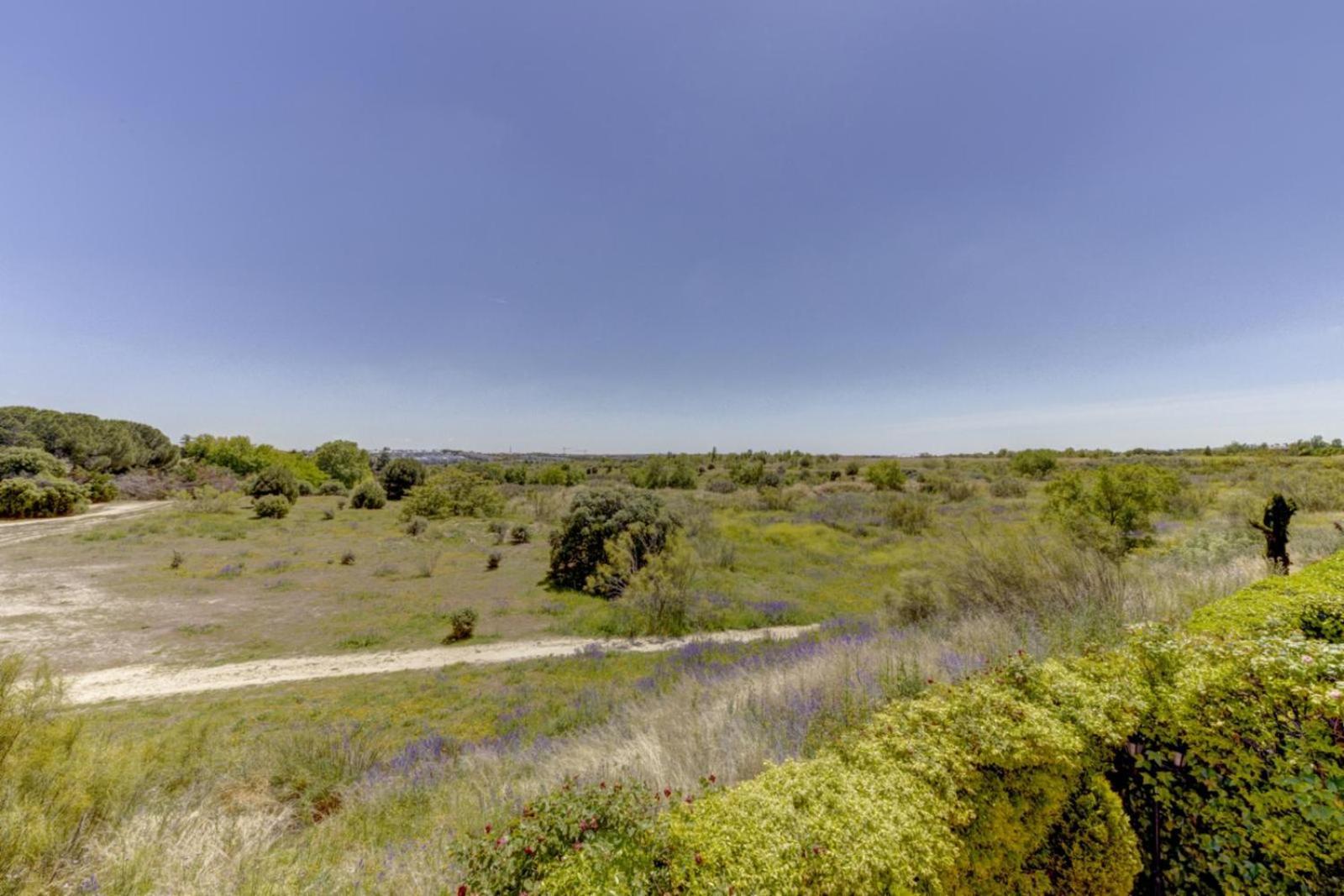 El Palomar Lägenhet Madrid Exteriör bild